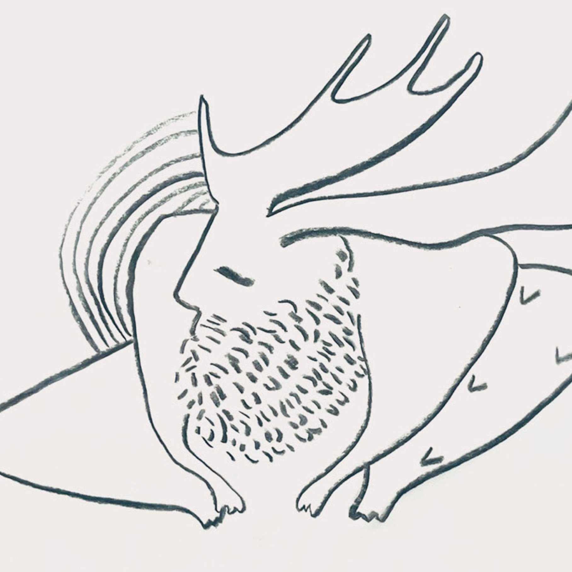 animal14zoom.jpg