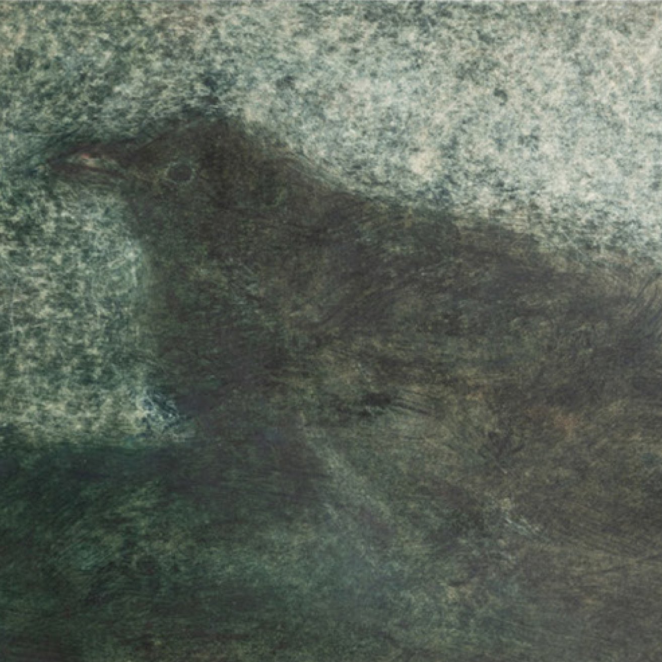 animal38zoom.jpg