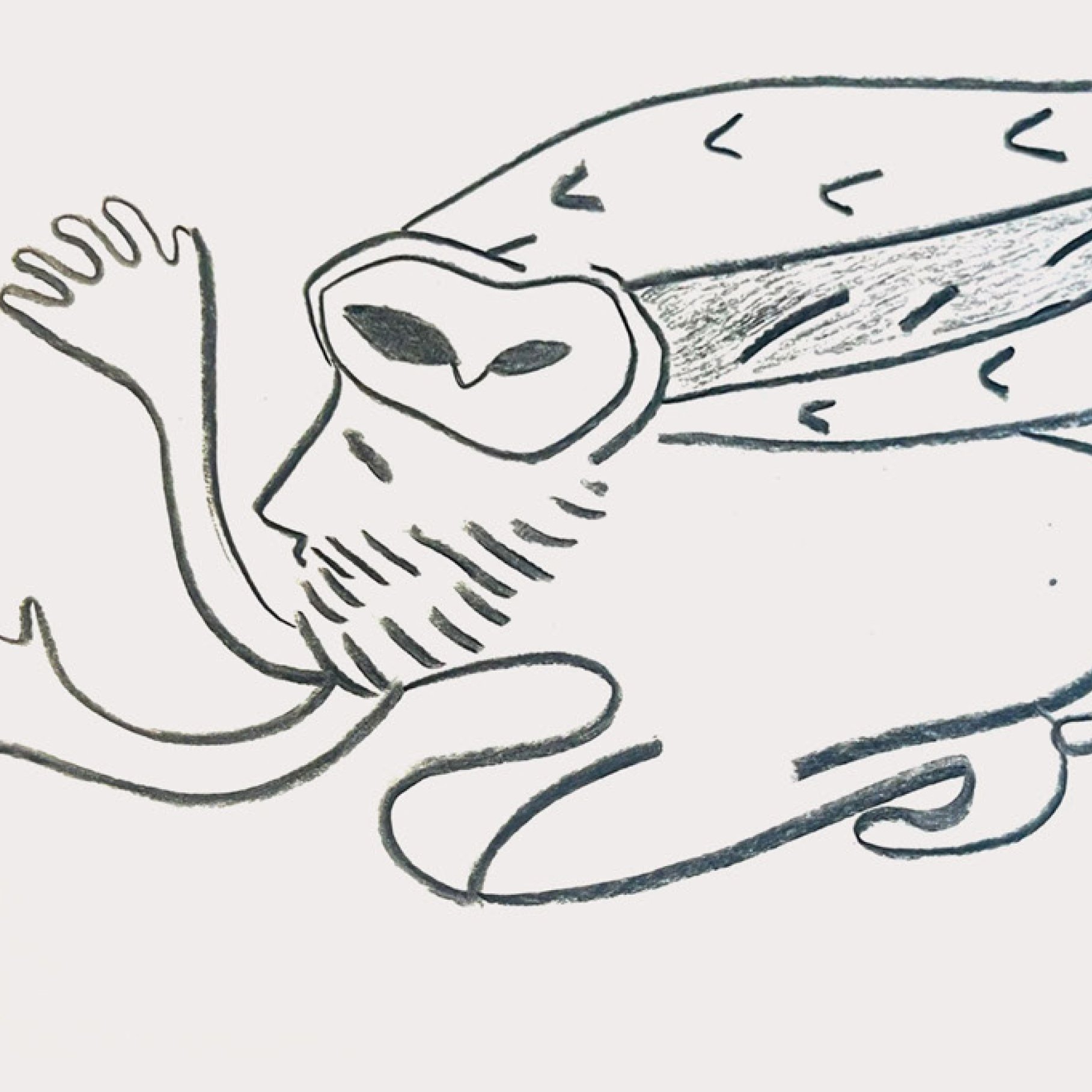 animal13zoom.jpg
