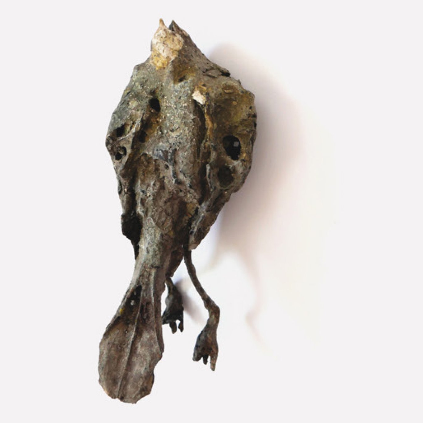 animal18zoom2.jpg