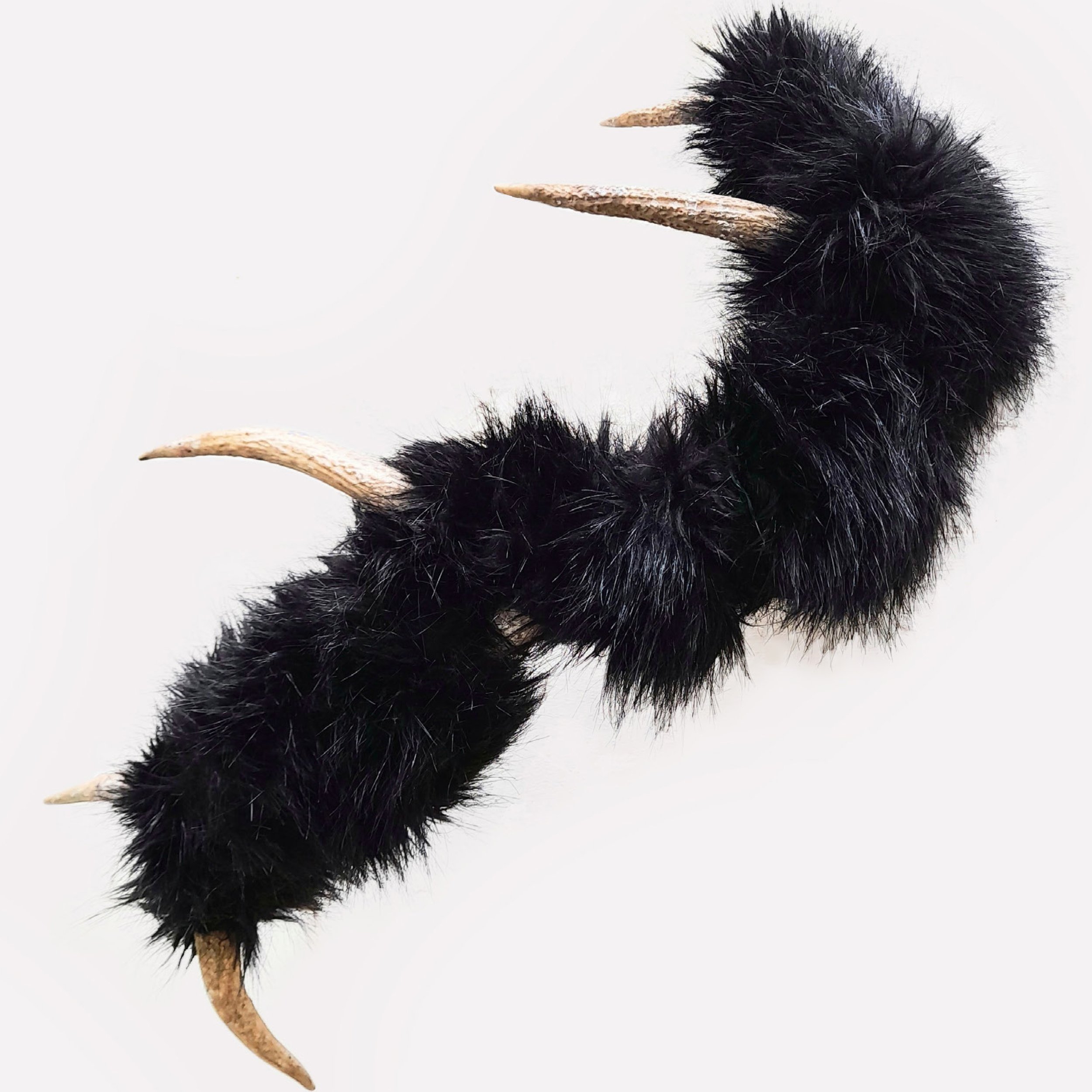 animal7zoom.jpg