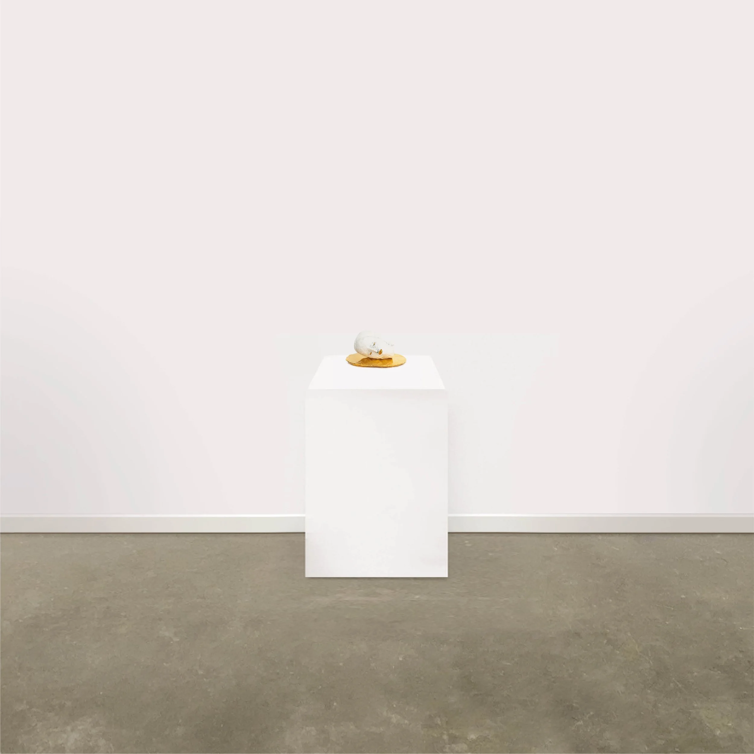clairecurneentosetthedarknessechoing7room1.jpg