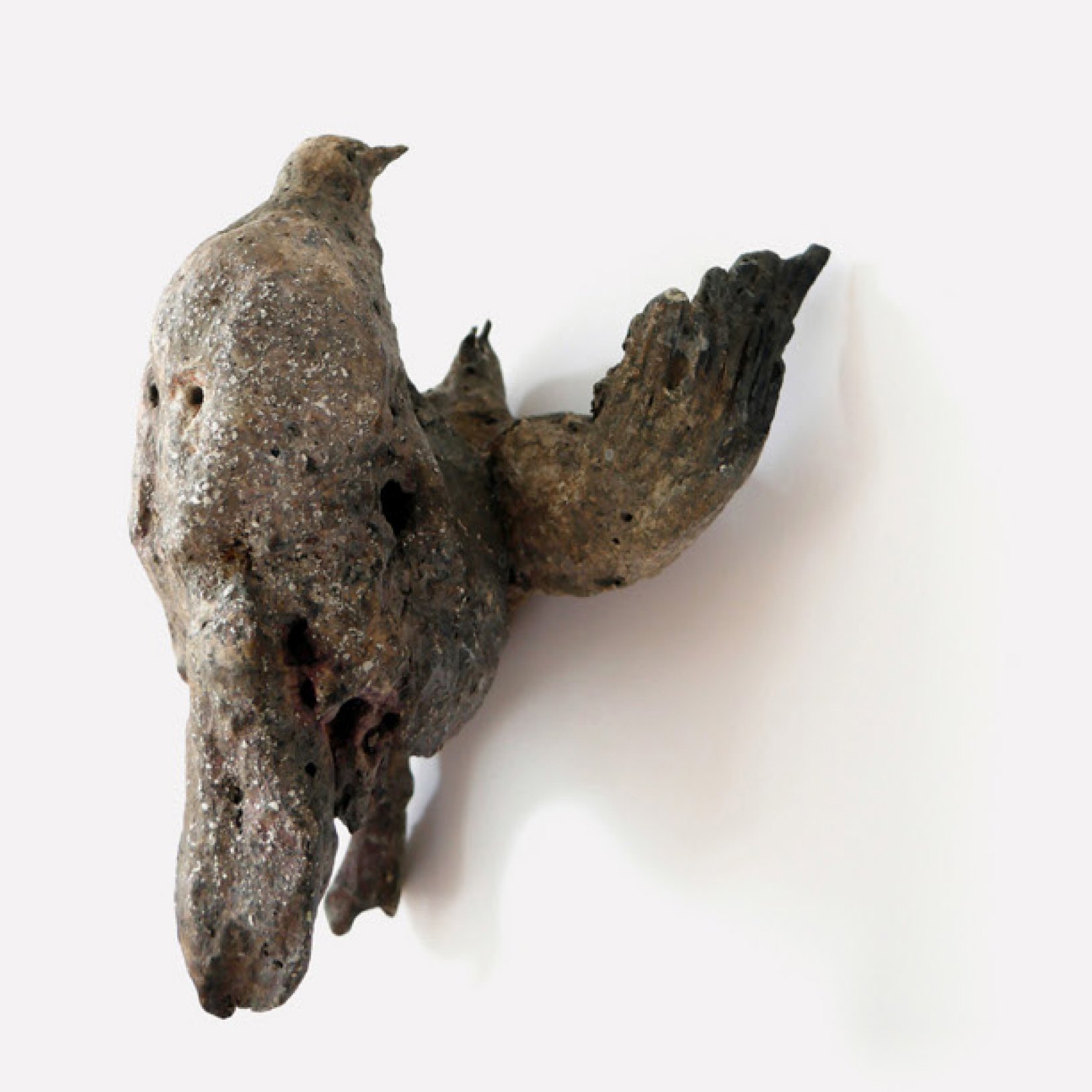 animal18zoom3.jpg