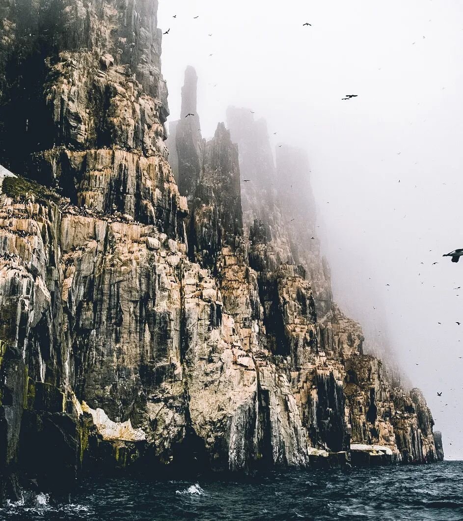 Skye 2020 
There's something special about being beside the sea!