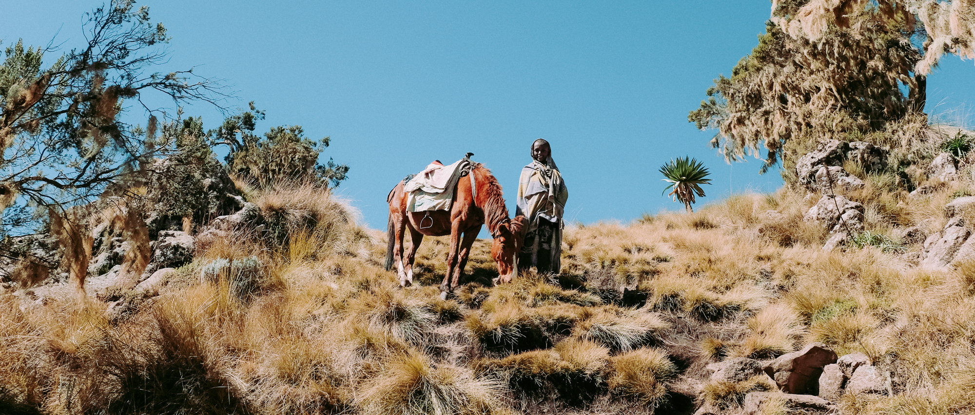 Simien Mountains, Gondar