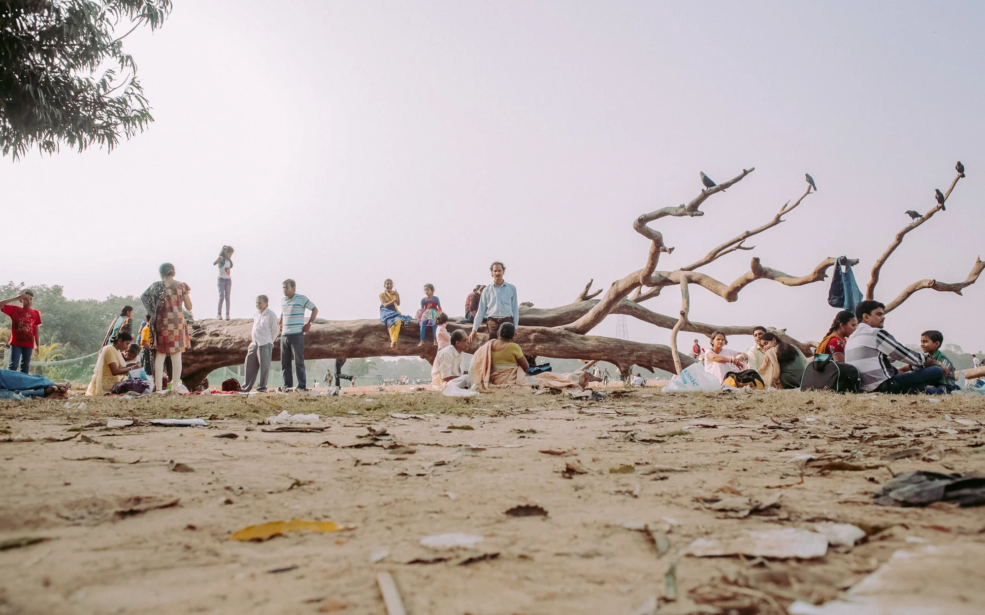 Picnickers – Elliot Park, Kolkata, West Bengal