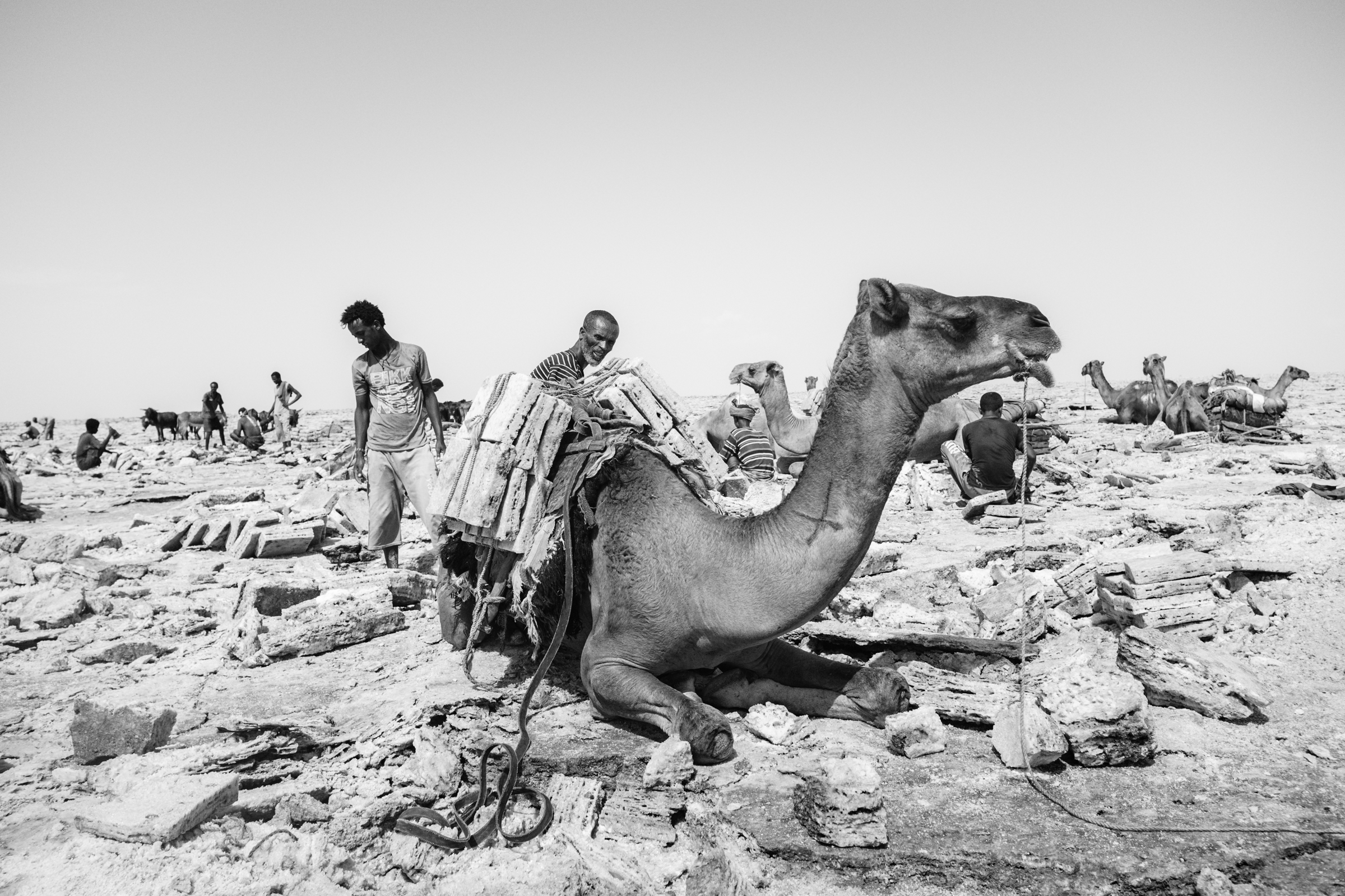 Salt Miners - Lake Assale, Danakil