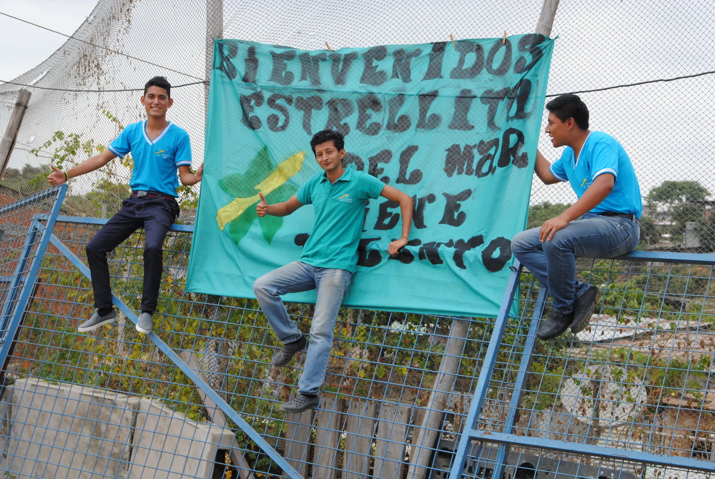 2016-2017 Annual Report