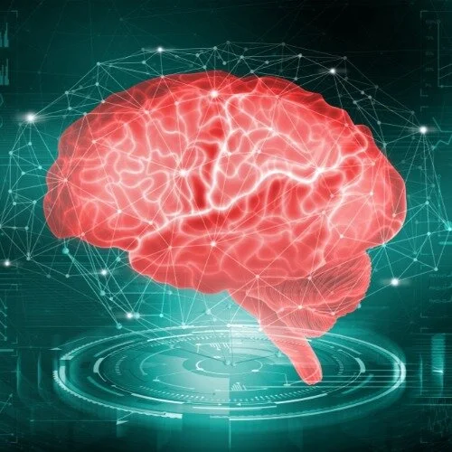 Neuroscience behaviour wellbeing speakers