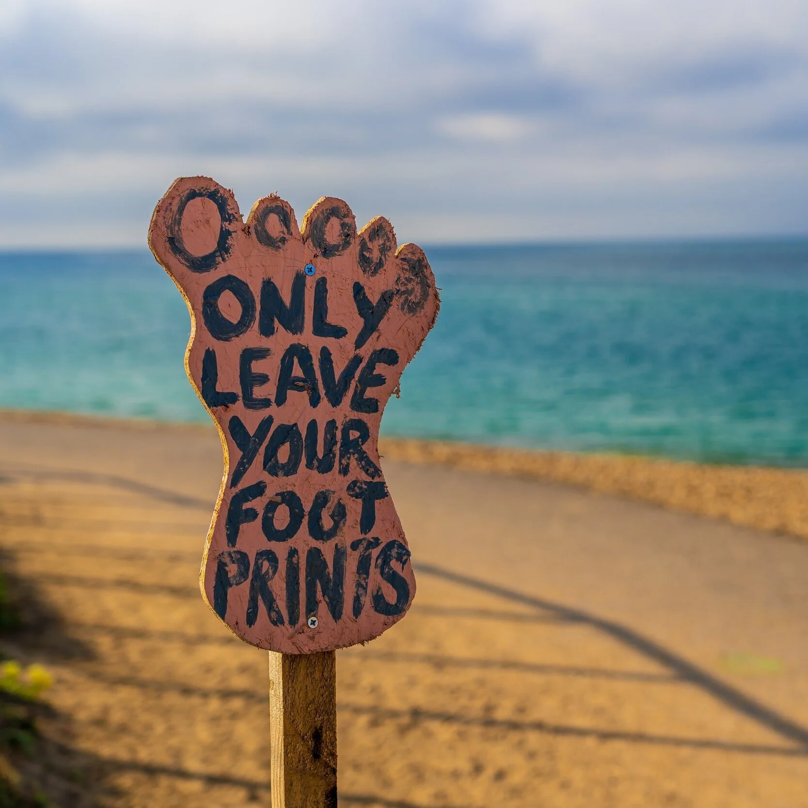 The most popular TEDTalks on the environment and sustainability