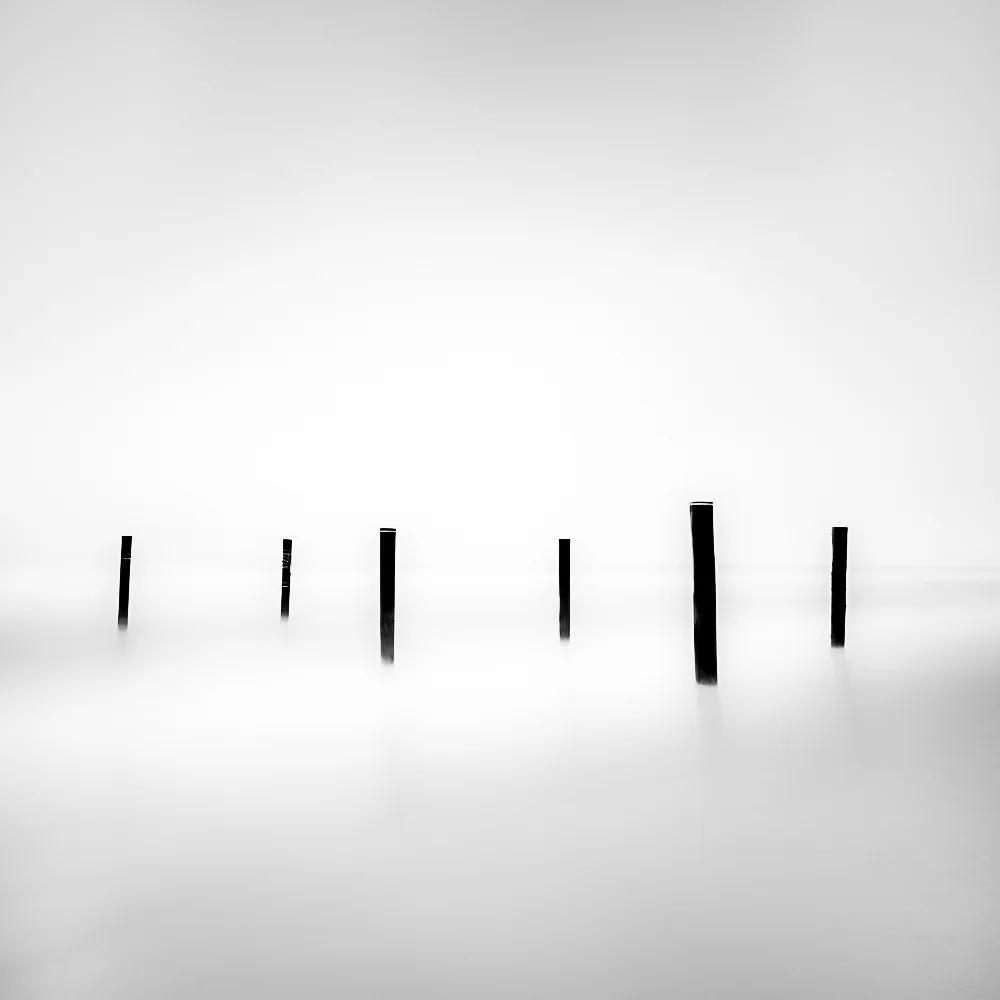 WEBISTE 6 SPIKES.jpg