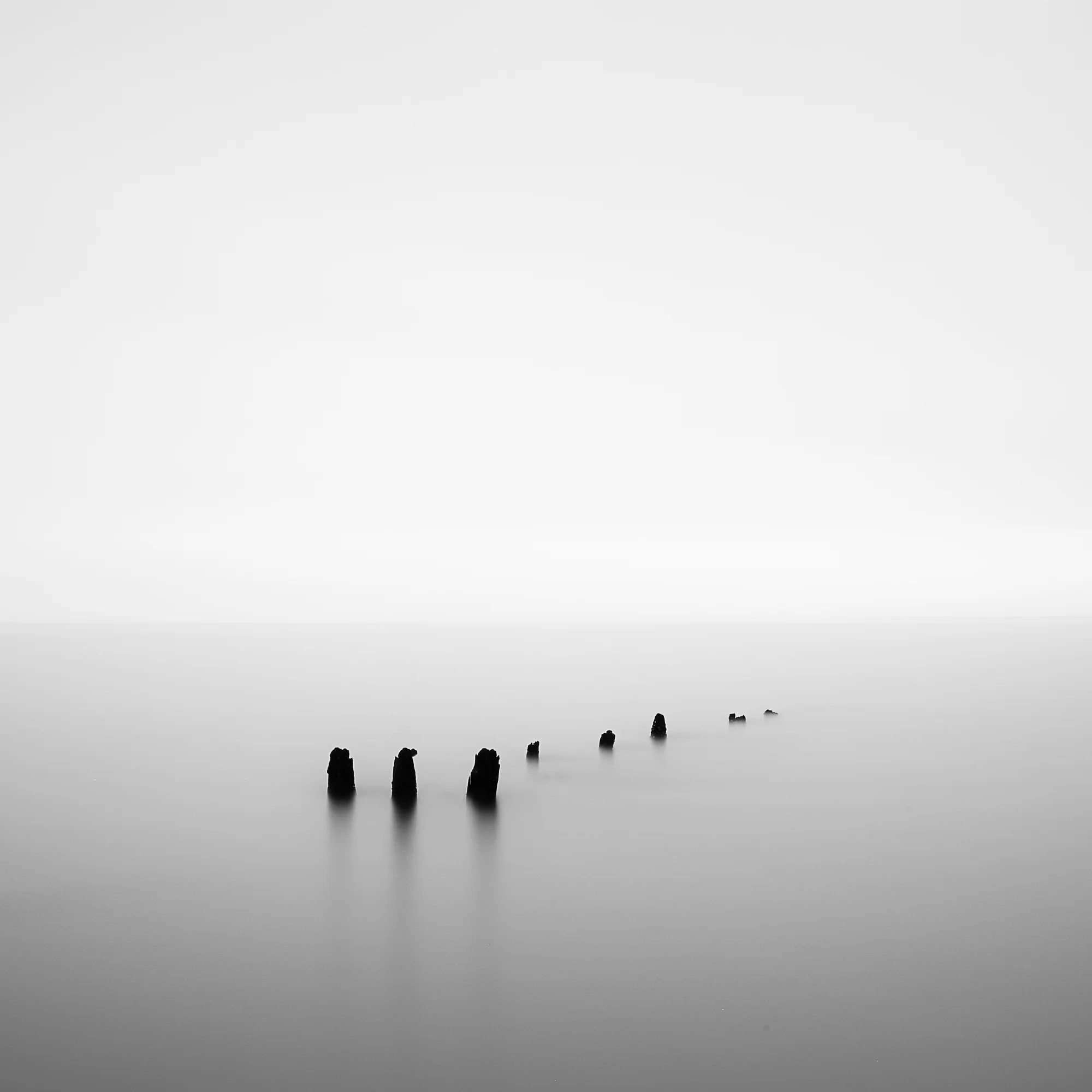 STATEN ISLAND SPIKES FOR AWARD.jpg