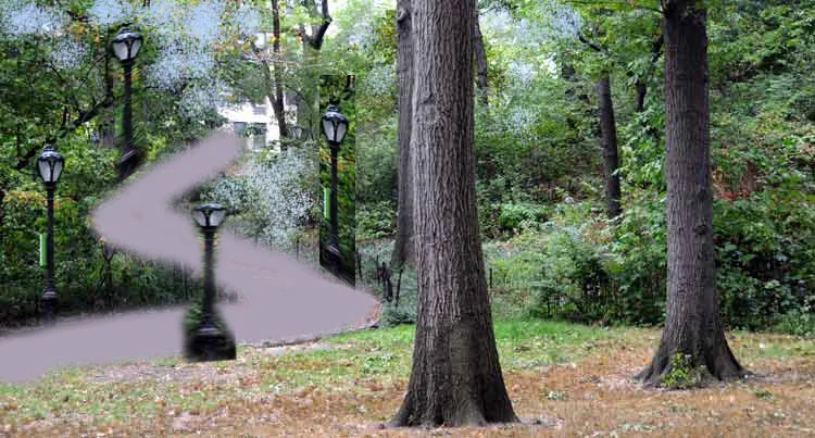 4_central_park edit.jpg