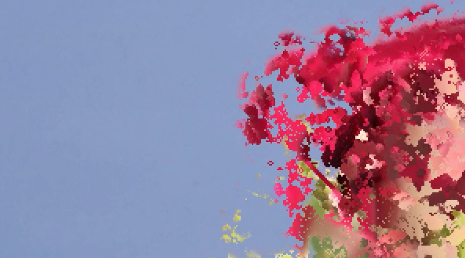 Screen Shot 2017-09-02 at 12.06.16 AM.png