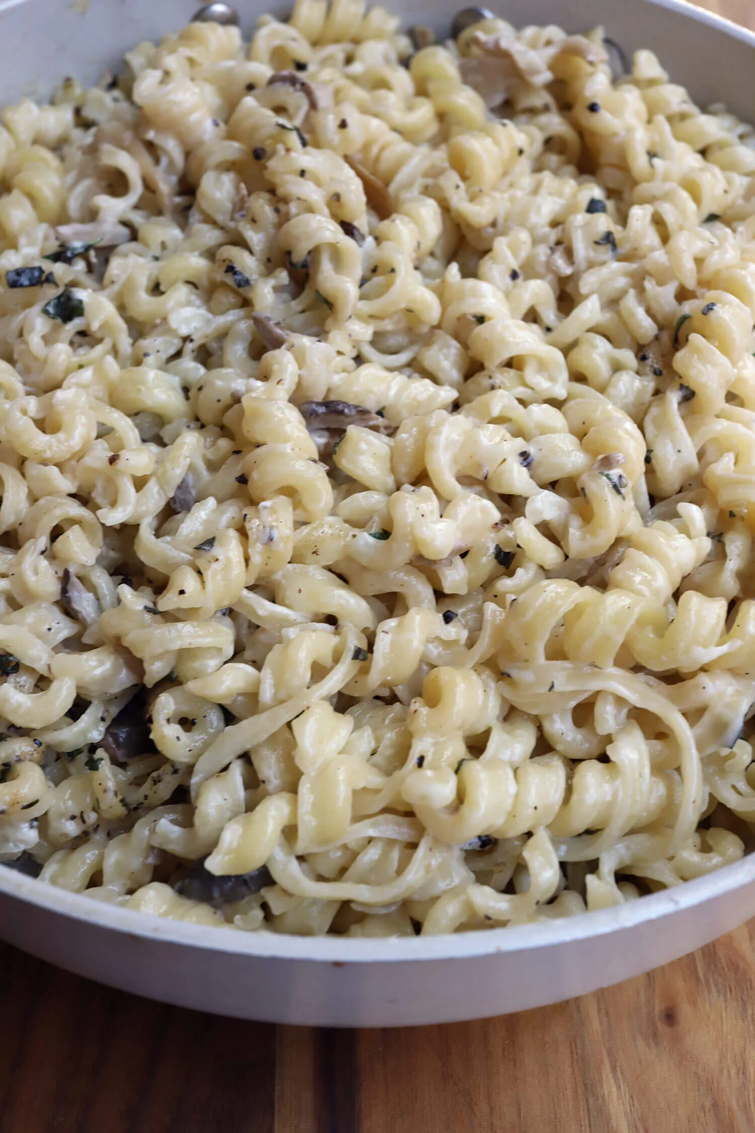 Pasta With Parmesan Mushroom Cream Sauce-Coffee And Champagne