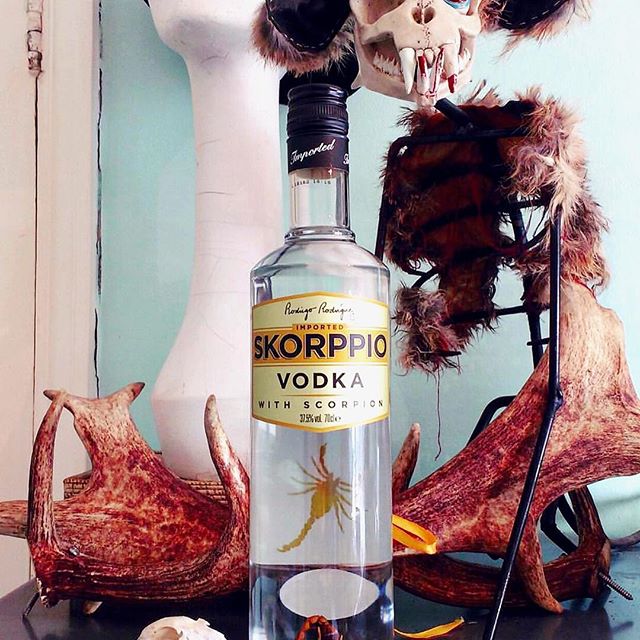 We love to see your adventures with Skorppio Vodka. Please hashtag #iatethescorpion and tag us for a chance to be featured. 📷 @agiftfromgerty
.
.
.
.
.
.
.
.
.
.
#skorppiovodka #iatethescorpion #vodka #organic #college #drinks #bartender #tipsy #wee