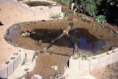 teichbau_schwimmteich_gfk_glasfaser_alfred_langer_aluterra_koeln