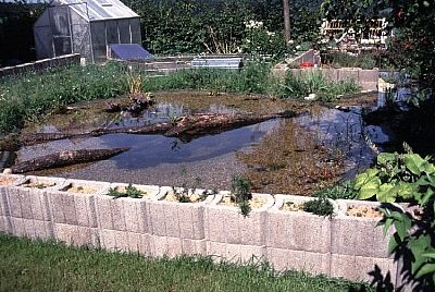 teichbau_schwimmteich_gfk_glasfaser_alfred_langer_aluterra_koeln