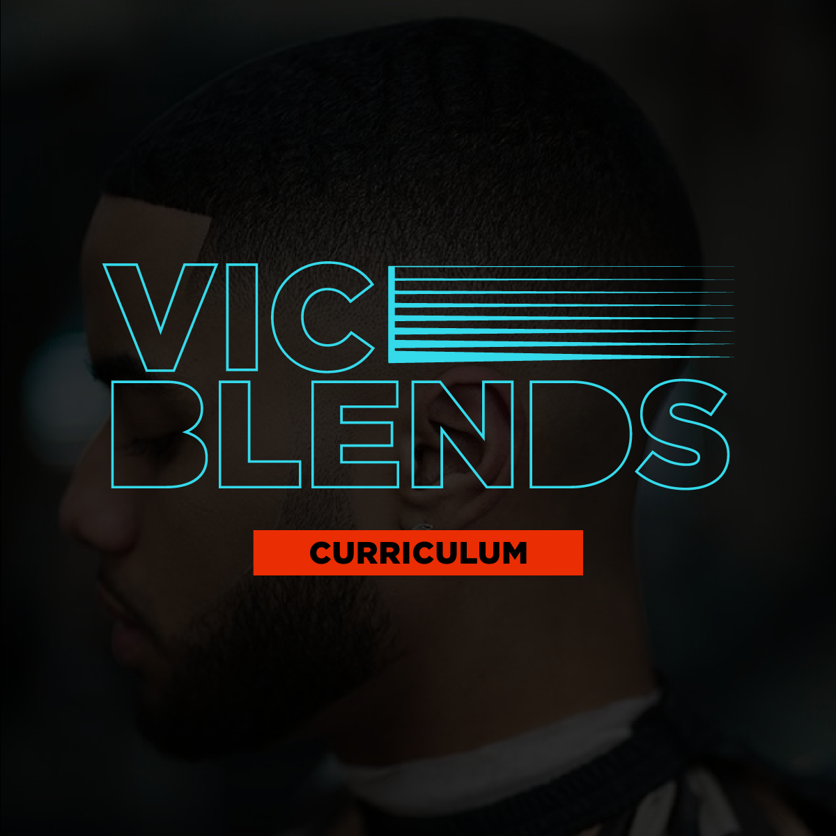 vb academy and curriculum-01.png