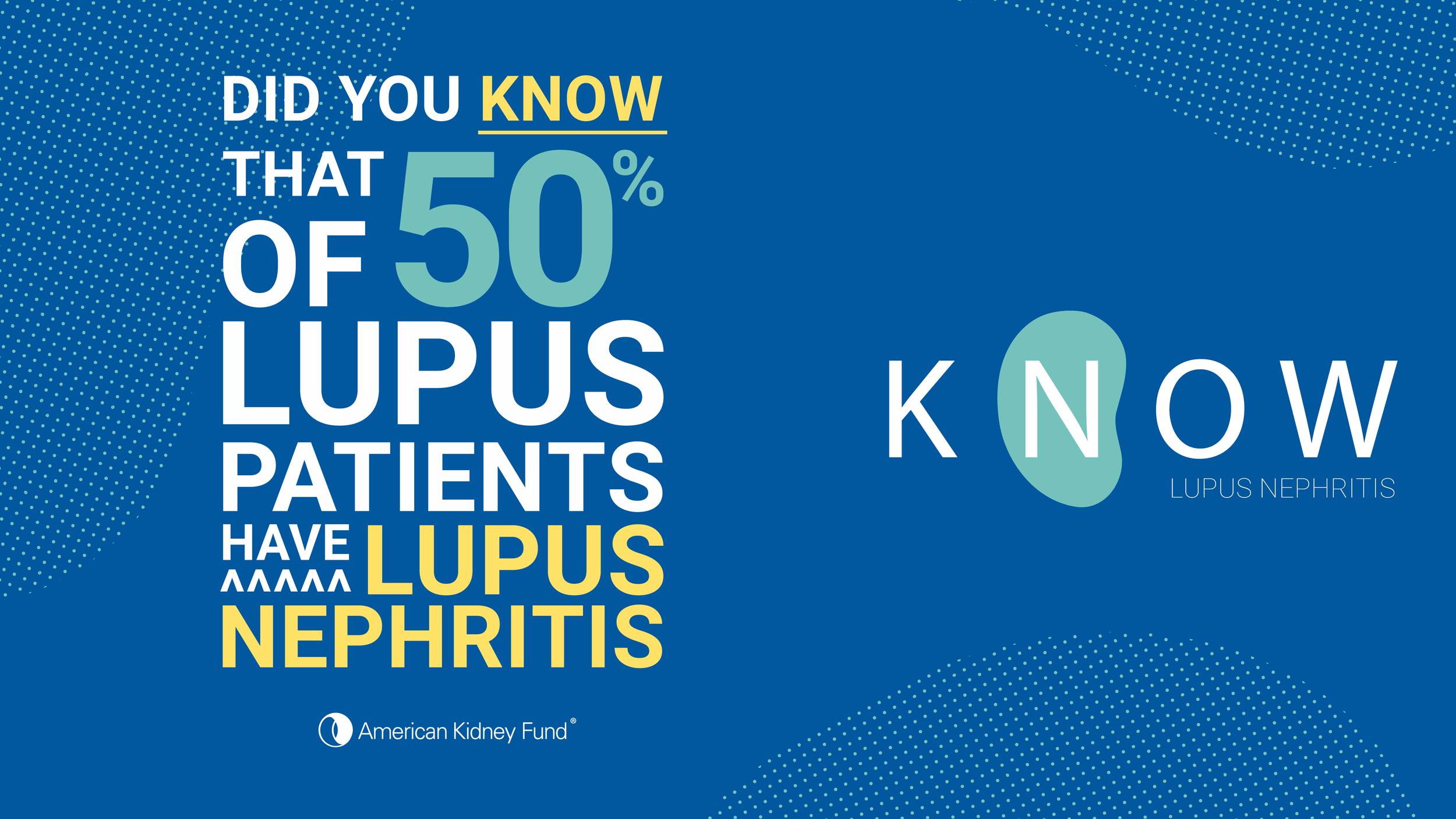 LUPUS NEPHRITIS _ CONCEPT 1-04.png