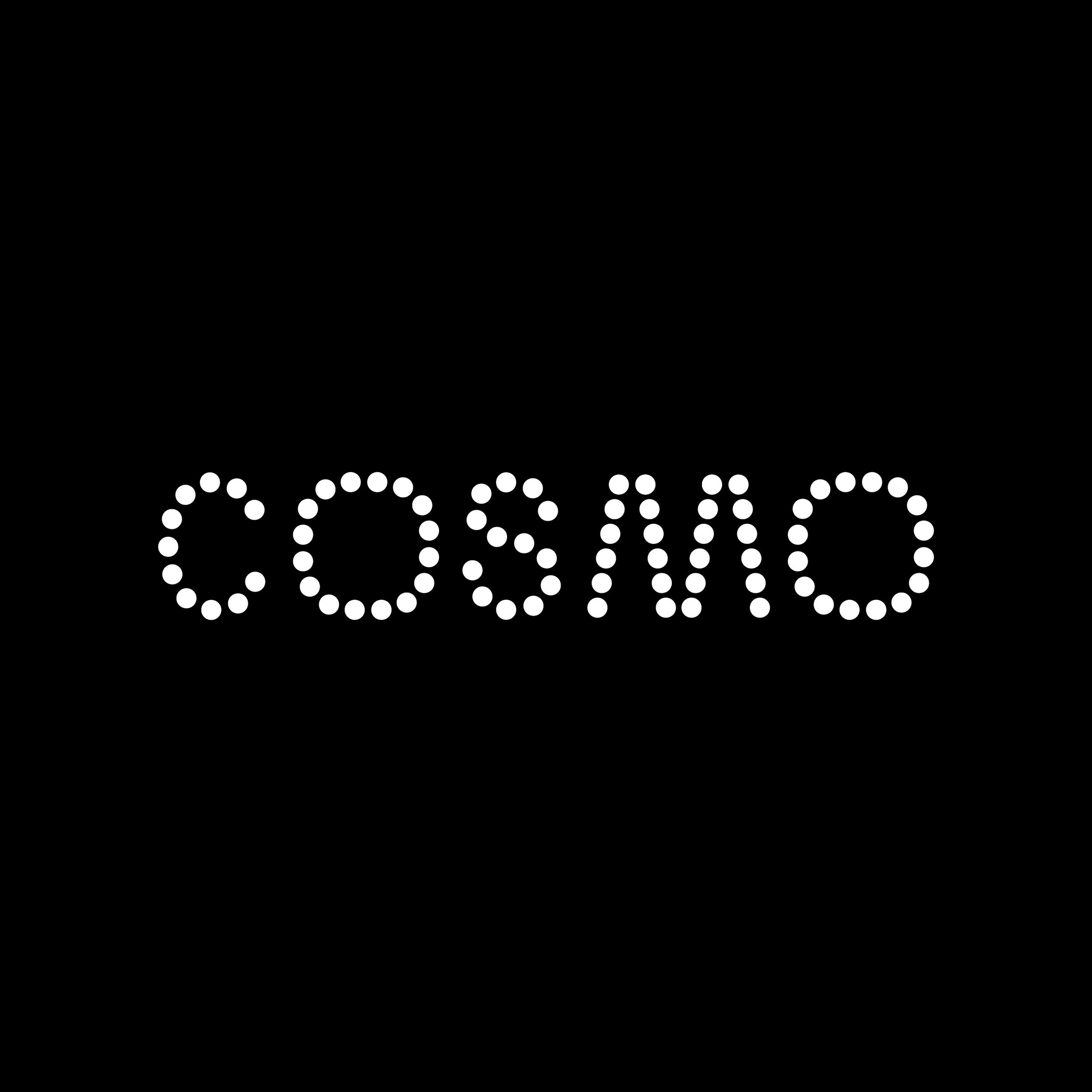 SLS_foto lavori_Cosmo_01.jpg