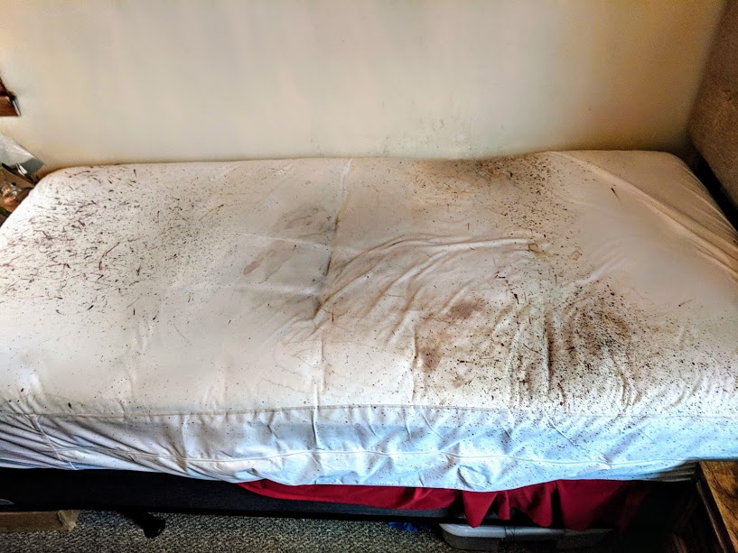 early mattress signs bed bugs