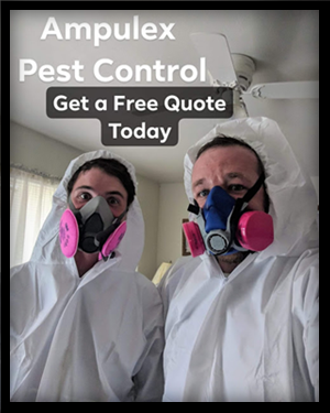 Get a Free Quote on Affordable & Guaranteed Bedbug Pest Control!