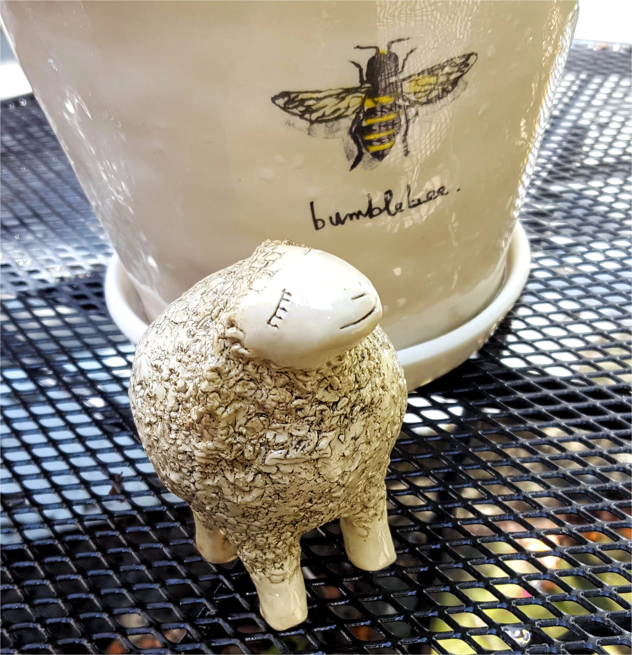 sheep on table outside.jpg