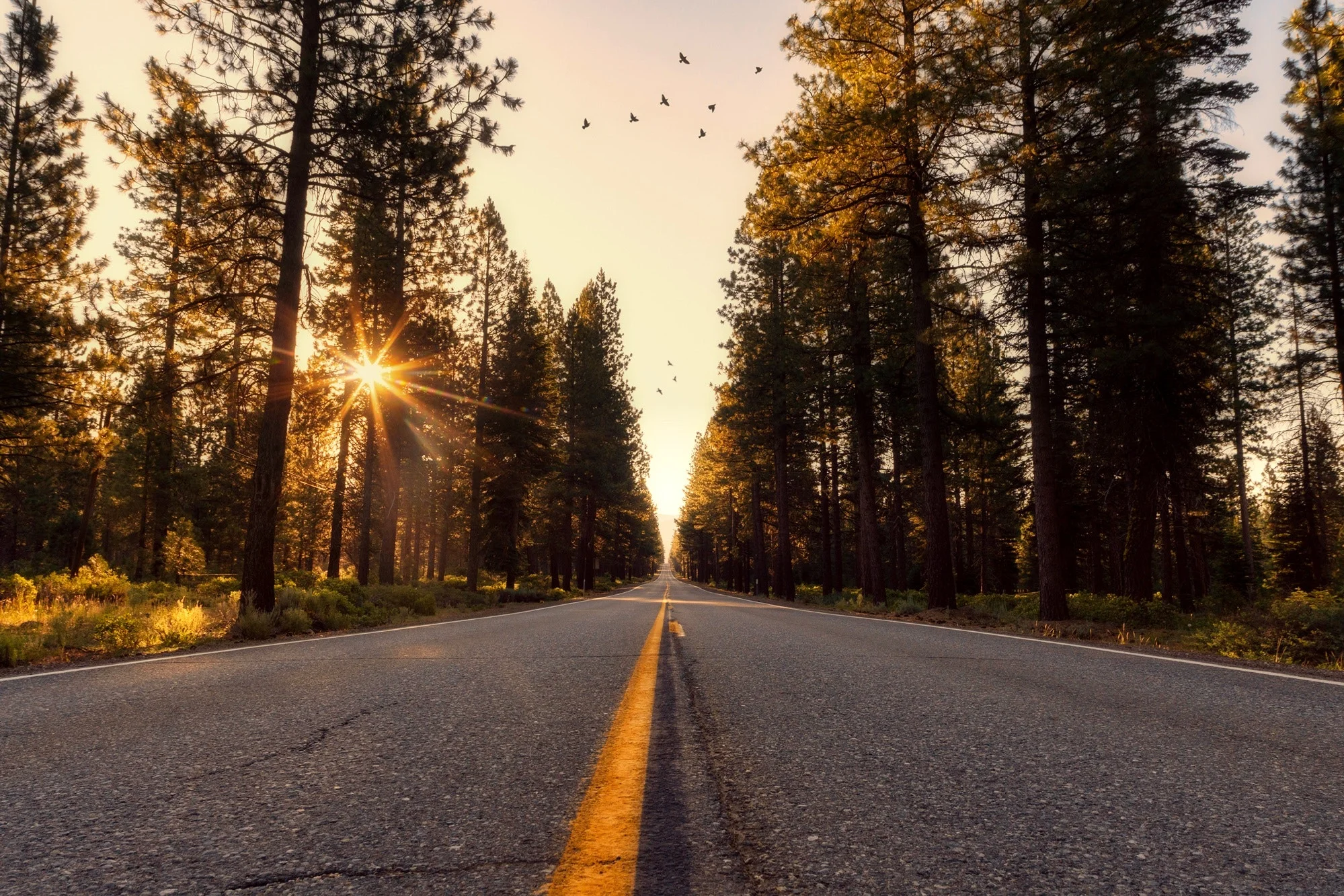 adventure-asphalt-california-533671.jpg