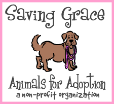 saving grace logo.gif