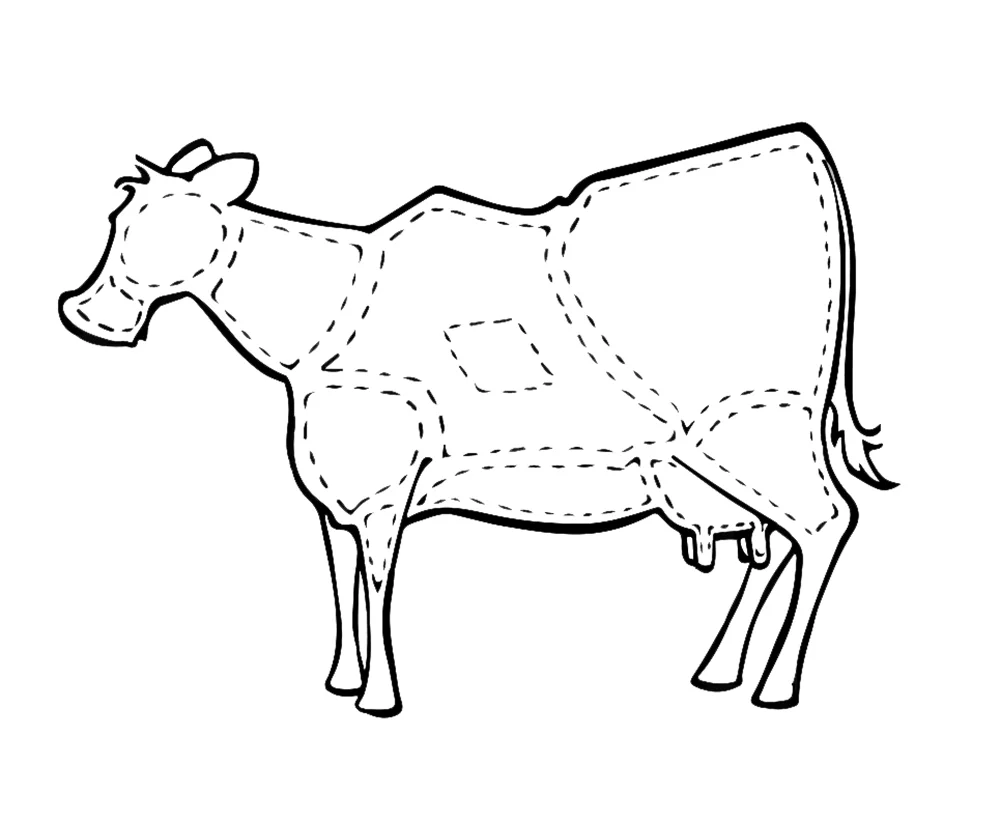 Cow_Segmented.jpg