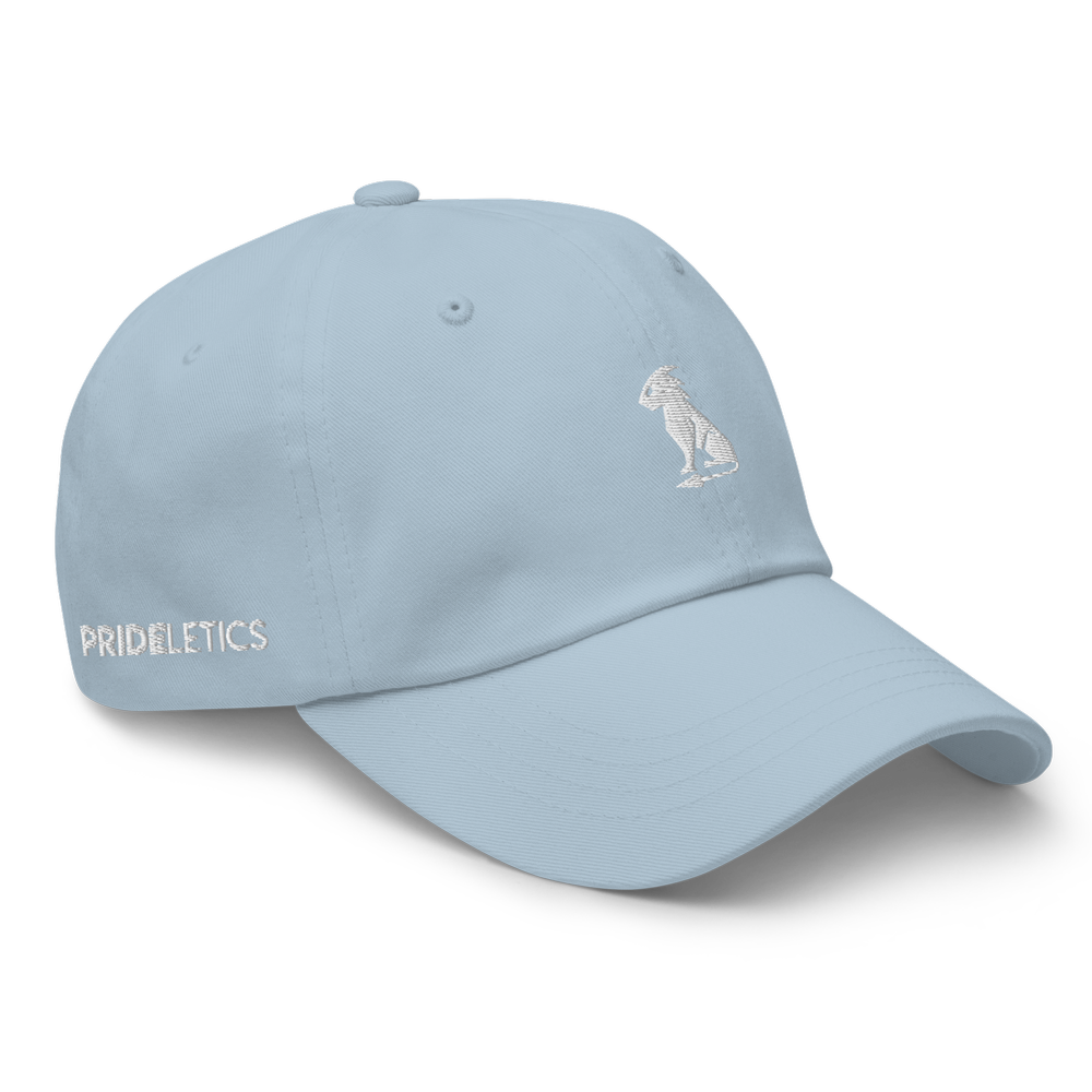 ハット [findoubt] labyrinth camp cap Labyrinth POLICE Hat by Alice and the Pirates
