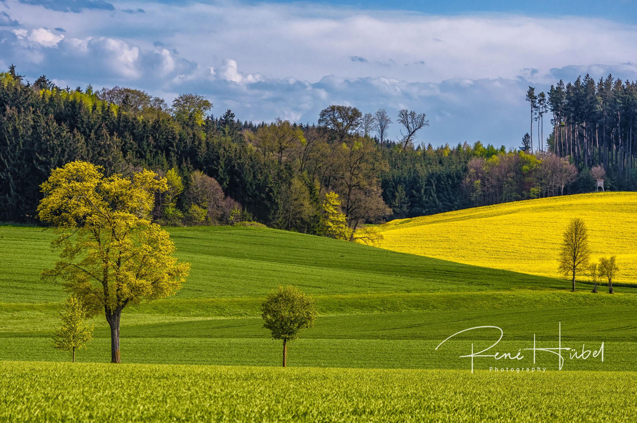 Spring season