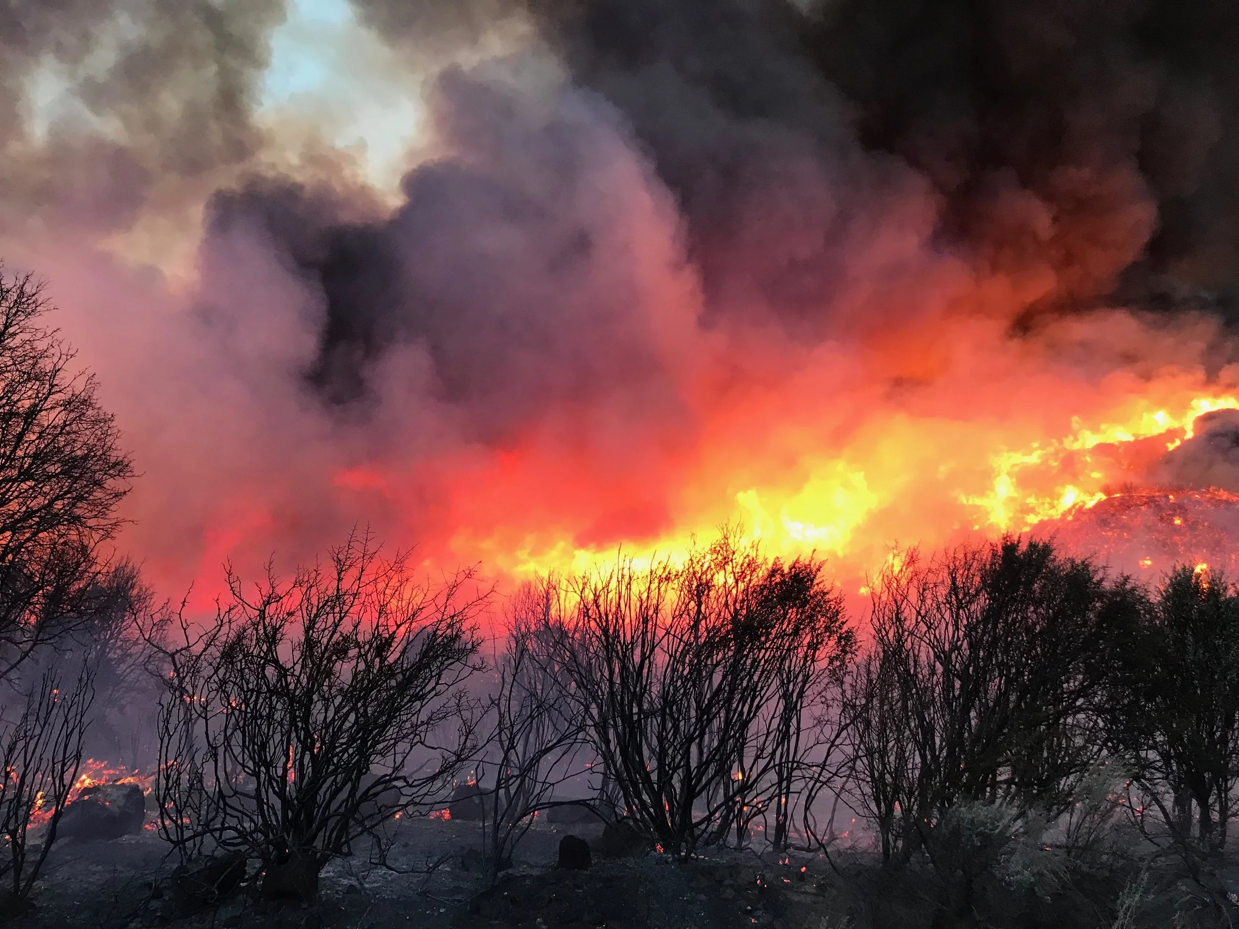 Thomas Fire Update + Happy Holidays