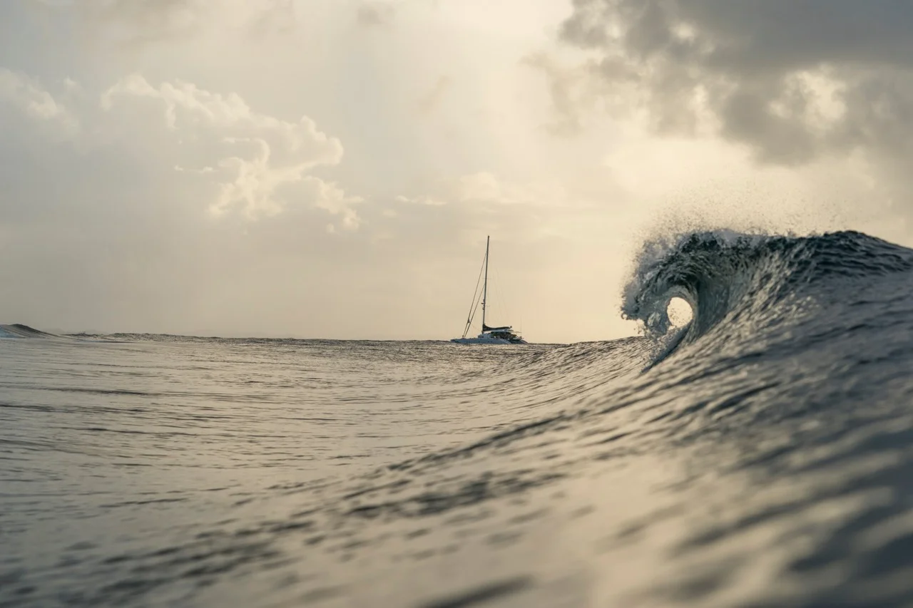 FCD in the Philippines: Crocodile Avoiding & Unicorn Hunting