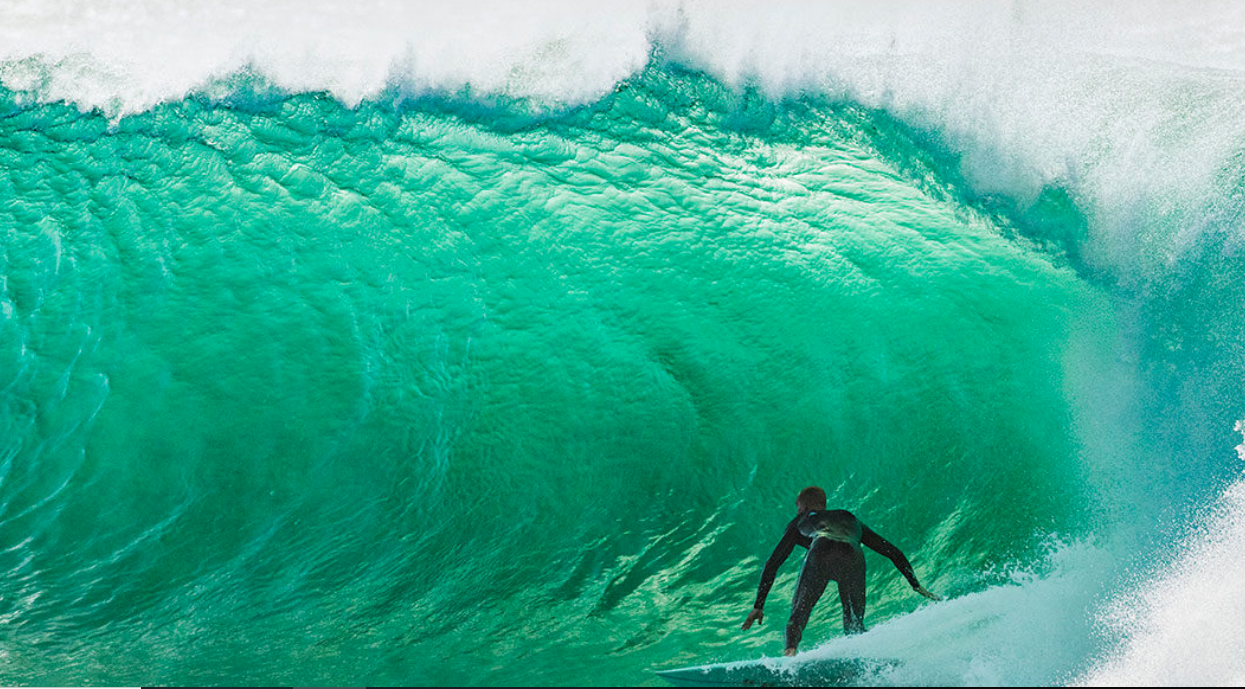 Open Ocean, Open Mind