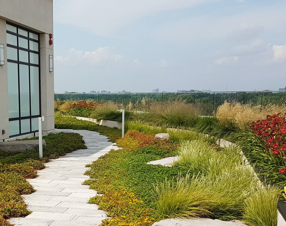  A winding path bordered by informal plantings can be an ideal solution through a narrow space.  