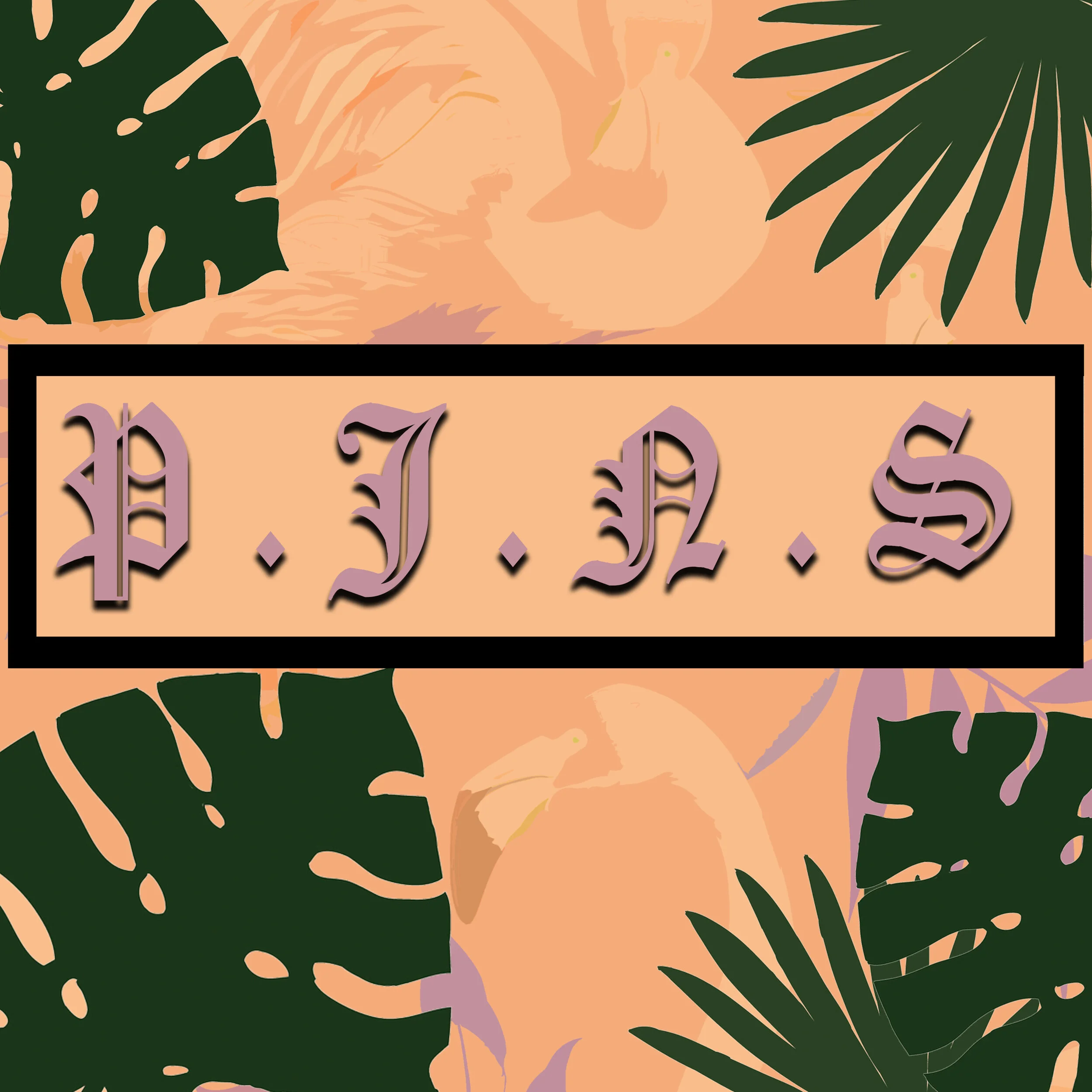PJNS_AlbumArt_3000x3000.jpg