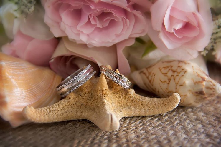 wedding_details_studioacphoto_rings.jpg