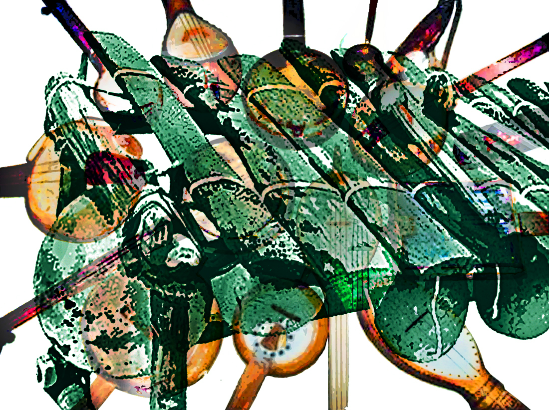 BanjoHistory0715 copy copy.jpg