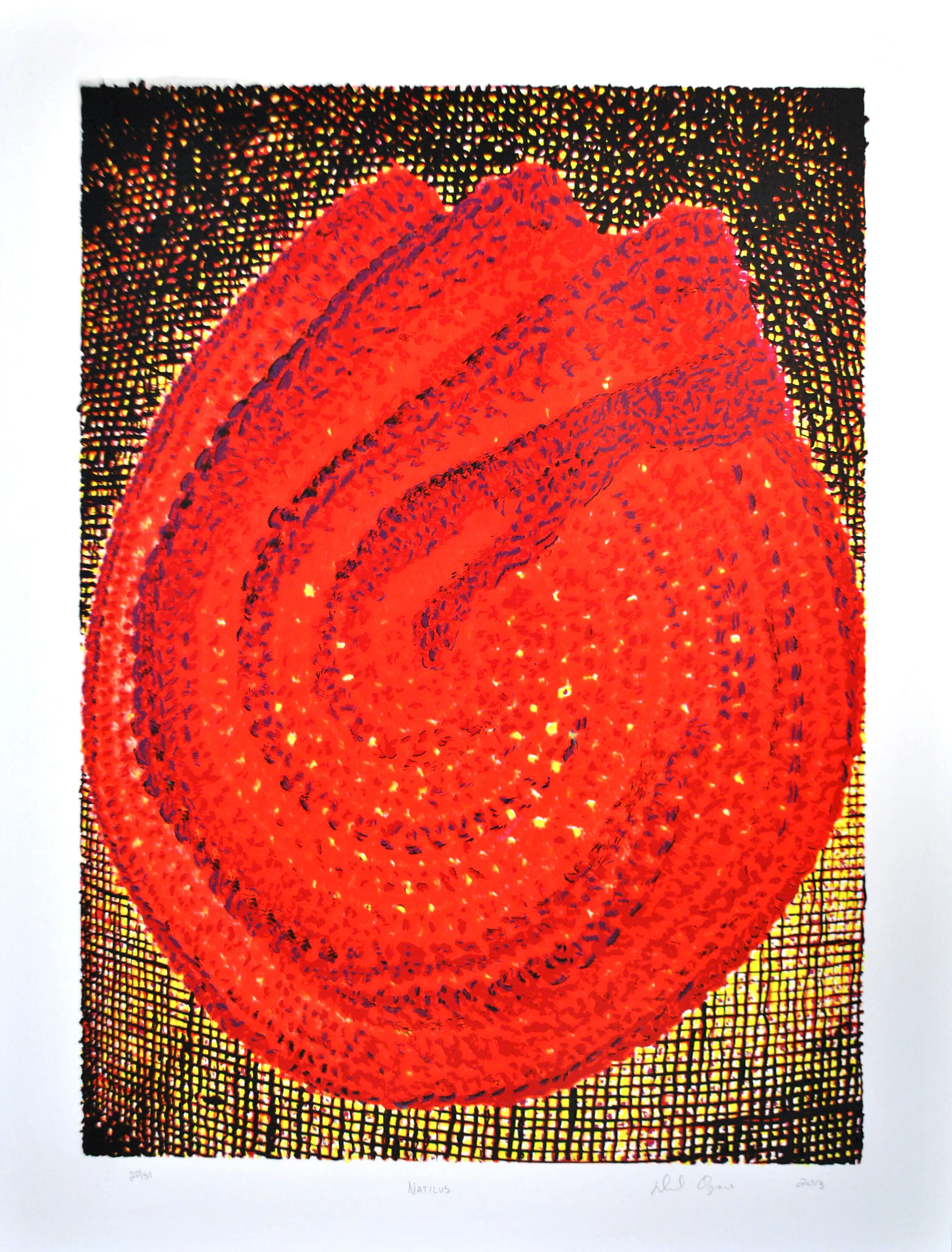 David Orozco, Nautilus, 2013