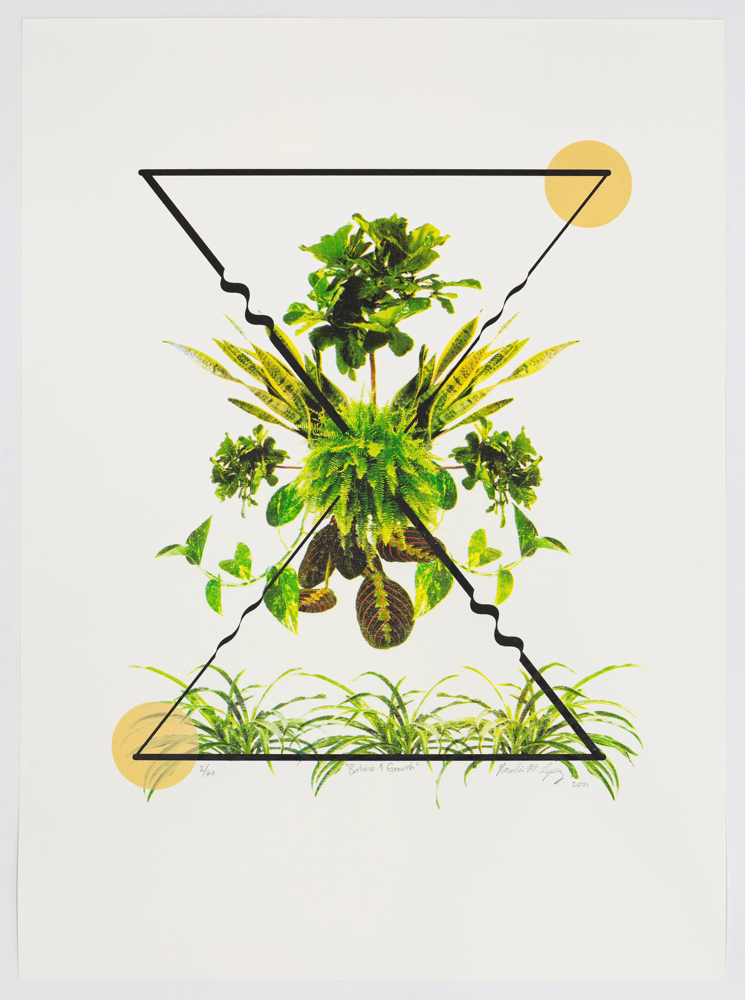 Rosalie Lopez, Balance and Growth, 2021