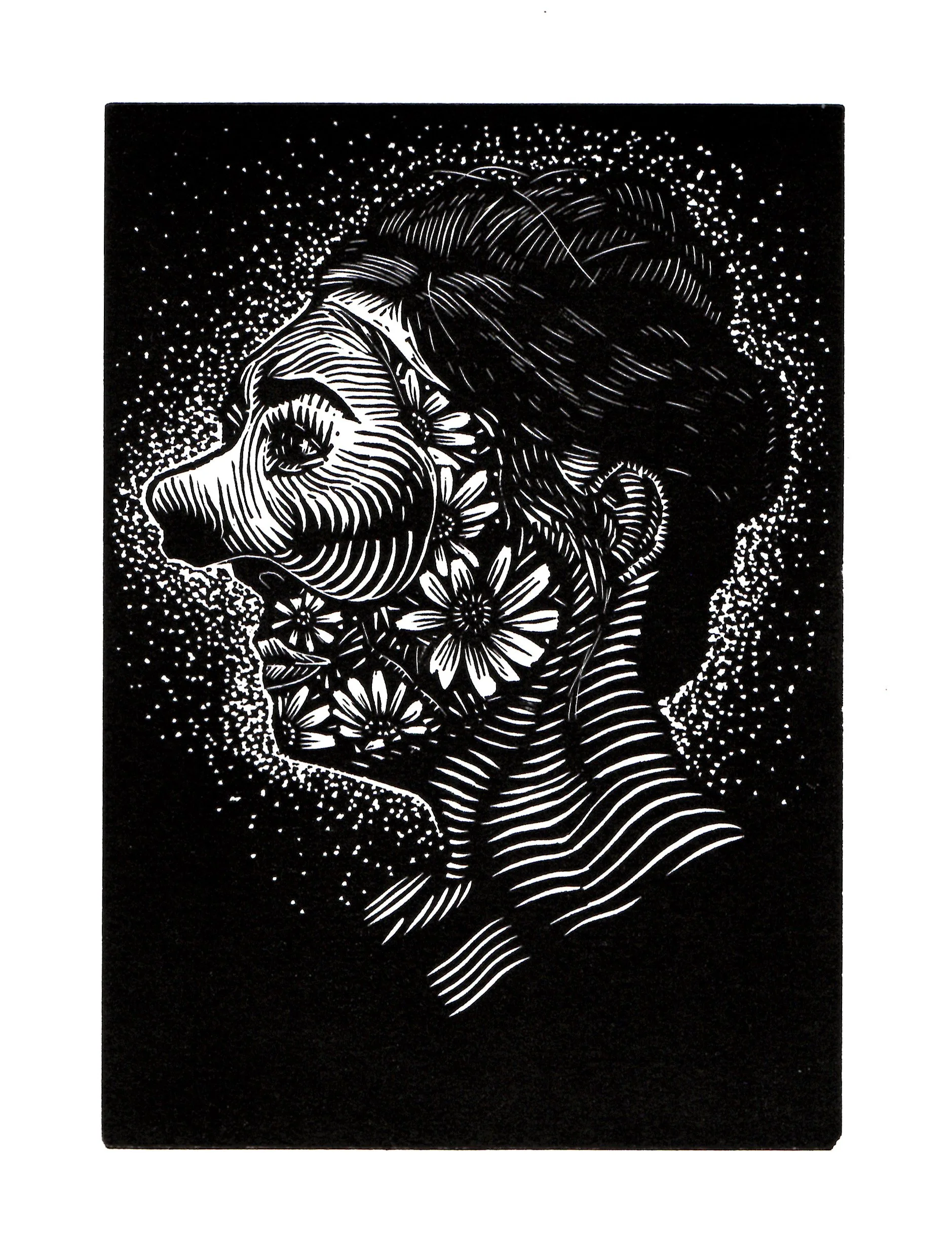 Pavel Acevedo, Apparition, 2020