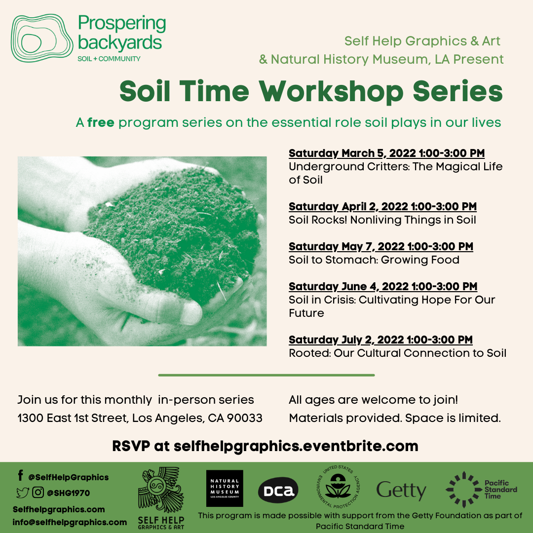 Soil Time: Soil Rocks! Nonliving Things in Soil