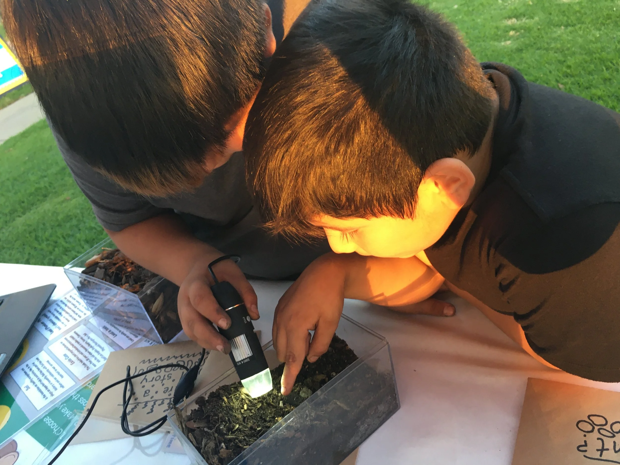 Prospering Backyards, Healing Soil, and the Community at Self Help Graphics