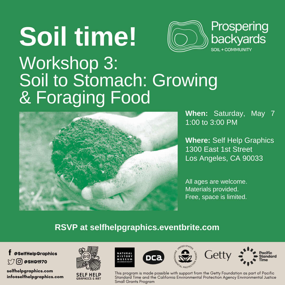Soil Time: Soil to Stomach - Growing and Foraging Food 