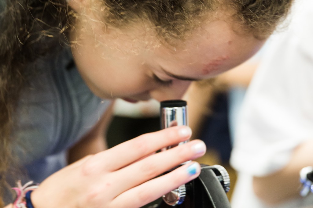 Examining Fingerprints