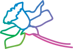 Right-Flower-150x100.png