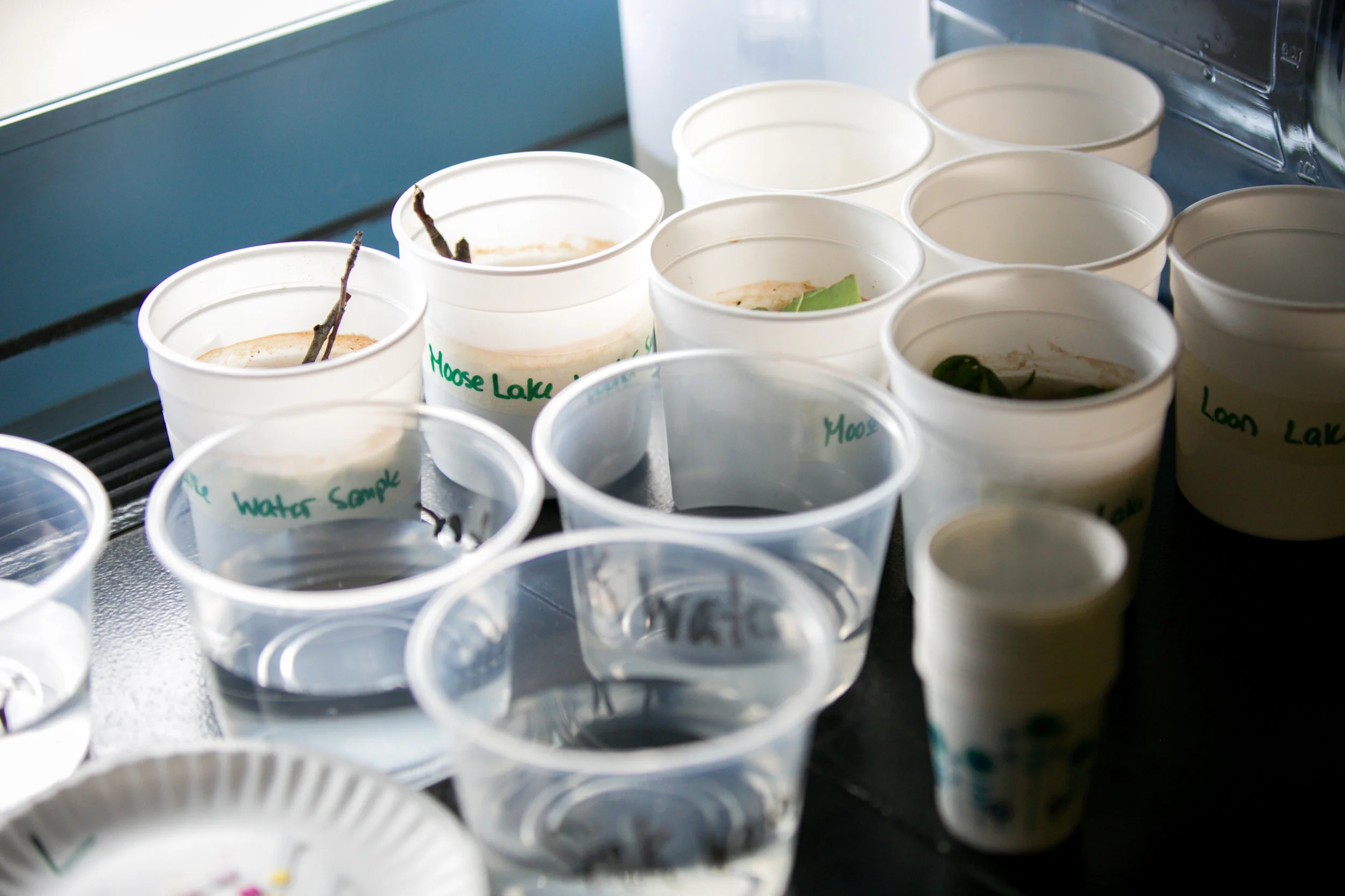 Water Quality Testing