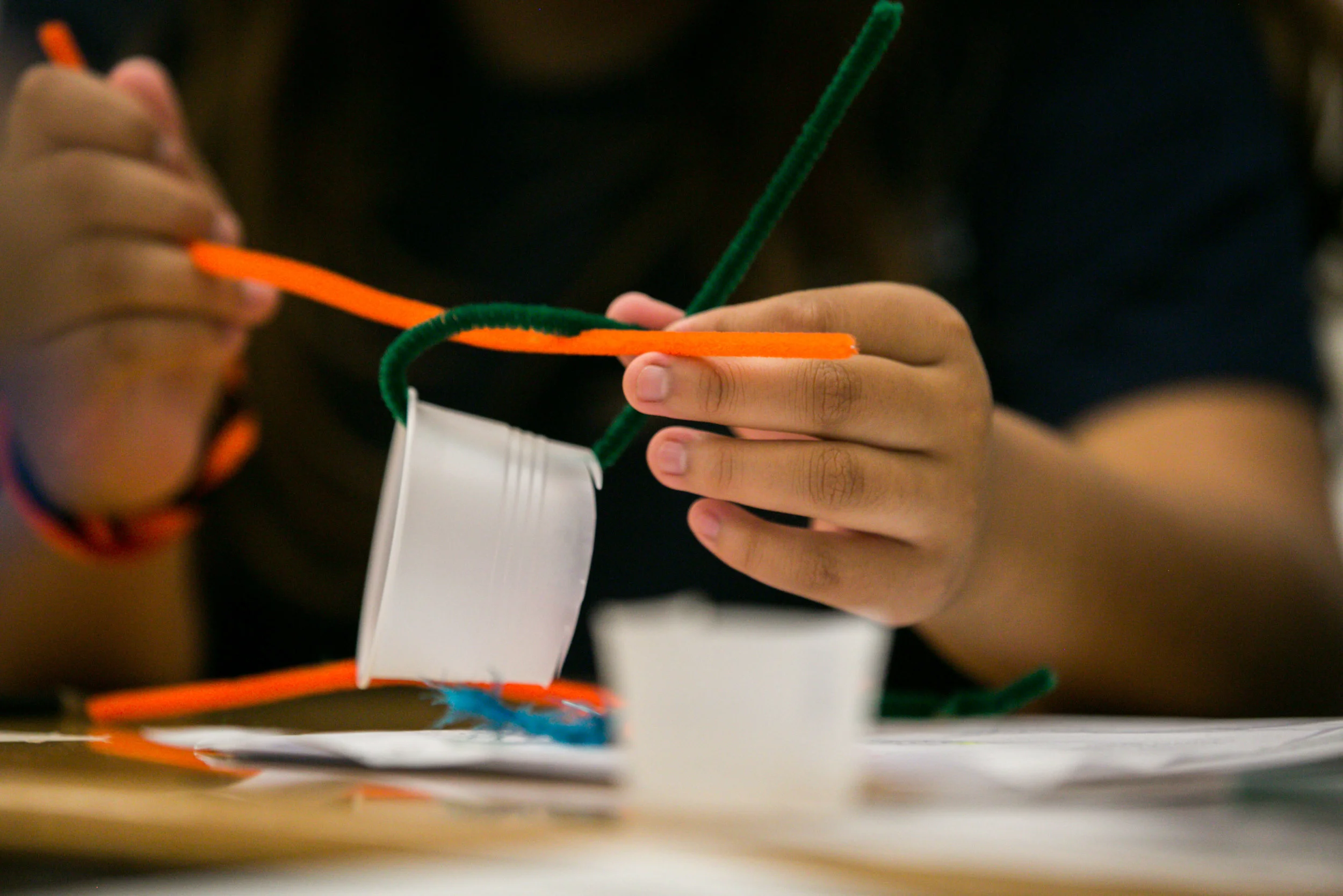 Engineering Challenge Warm Up: Creating the Bycatch Net